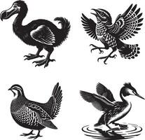 dodo, grebe, nightjar, and partridge bird vector