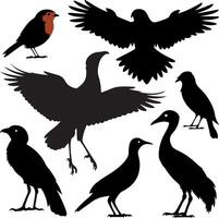 a collection of birds silhouette vector
