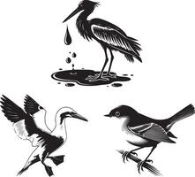 set of silhouettes of birds vector
