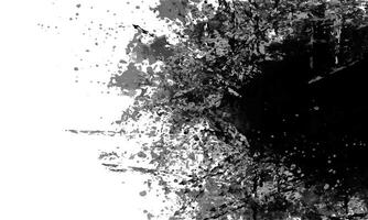 Black and white grunge background. Distress overlay texture. Grunge texture. vector