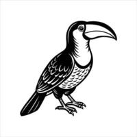 Red-Billed Toucan eps vector