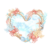 Crab, seashell with coral and seaweed with starfishe. Frame in heart shape. Hand drawn watercolor illustration isolated. Marine border, copy space. Underwater reef animals. Template for card, print. png