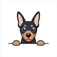 Dobermann Dog Peeking Face vector