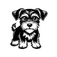 Miniature Schnauzer Pattern Dog vector