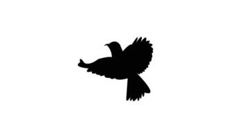 Flying Roller Bird Silhouette vector