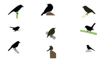 Slaty Flycatcher Bird Silhouette Collection vector