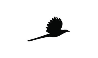 Flying Scimitarbill Bird Silhouette Design And Illustration. vector
