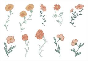 Collection of simple flowers. Hand drawn abstract botanical illustrations isolated on white. vector
