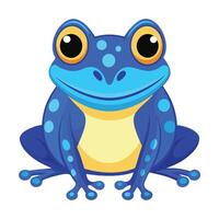 color frog sitting on a white background vector