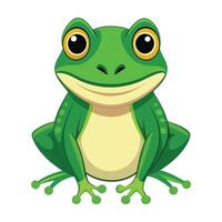 cartoon frog sitting on a white background vector