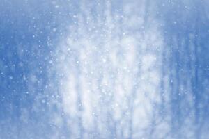 Winter blur background with snowflakes photo