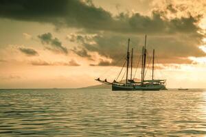 Recreational Yacht at the Indian Ocean photo