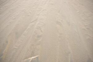The dune of Pyla, Europe's highest dune photo