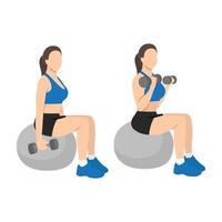 Woman doing exercise Swiss ball bicep dumbbell curls. vector