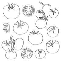 Set of tomato icons. Hand-drawn doodle contours. Black and white tomatoes, isolated on a white background. Suitable for web design, coloring pages and books, menus, restaurant design, prints, posters vector