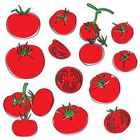 Set of tomato icons. Hand-drawn doodle abstract, flat cartoon color, isolated on a white background. Black, red, green. Web design scrapbooking, menus, restaurant design, prints, posters, grocery vector
