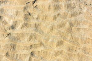 Top view of a sand sea bottom photo