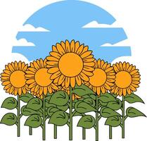 Vibrant Sunflower Field with Blue Sky and Clouds vector