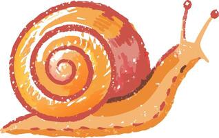 Vibrant Spiral Shell Snail Illustration for Nature and Education vector