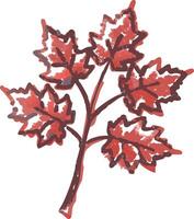 Vibrant Red Maple Leaf Illustration for Autumn Design Projects vector