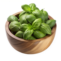 Fresh basil leaves with fine water droplets png