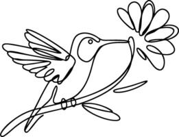 Minimalist Hummingbird and Flower One Line Art Illustration vector