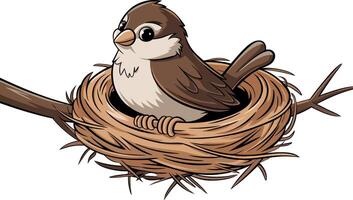 Cute Sparrow Nesting on Branch in Detailed Illustration for Nature and Wildlife Themes vector