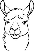 Intricate Llama Portrait Line Art Illustration for Design Projects vector