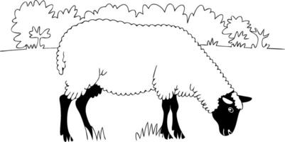 Grazing Sheep in Pasture Simple Illustration of Farm Life vector
