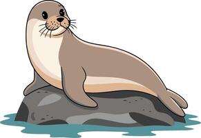 Cute Seal Illustration on Rock in Nature Setting for Educational Use vector
