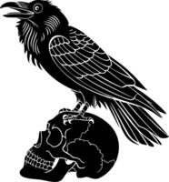 Raven Perched on Human Skull Illustration Symbolizing Mystery and Mortality vector