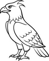 Majestic Eagle Outline Art for Educational and Decorative Use vector