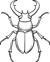 Detailed Illustration of Stag Beetle for Educational and Design Use vector