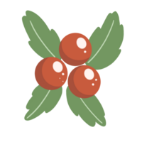 red berries on a branch with leaves on a transparent background png