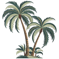 Two embroidery tall palm trees with lush, green fronds sway gently, accompanied by smaller plants at their base cutouts png