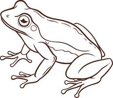 Detailed Illustration of Frog Outline for Educational and Artistic Use vector