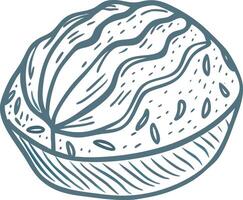 Hand Drawn Walnut Shell Illustration for Culinary and Health Themes vector