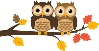 Cute Cartoon Owls Sitting on Autumn Tree Branch in Colorful Fall Leaves Illustration vector