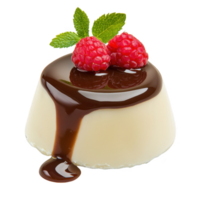 Chocolate panna cotta with raspberries isolated on transparent background png