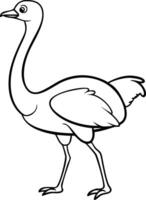 Elegant Ostrich Illustration Outline Art for Educational and Decorative Use vector