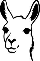 Llama Face Black and White Illustration for Design and Merchandise vector