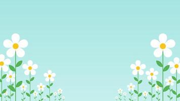 Collection of flower spring backgrounds vector
