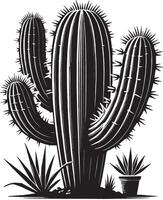 Distinctive large cactus shadow on a blank white surface vector