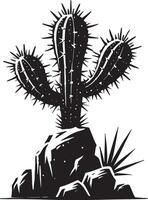 Timeless cactus shadow illustration on clean white background vector