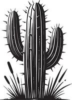 Decorative big cactus shadow design on a crisp white canvas vector