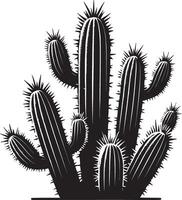 Bold and classic big cactus shadow on a white canvas vector