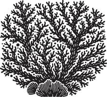 Bold marine coral shadow silhouette on white vector