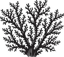 Black silhouette of sea coral on a white background vector