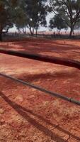 A rustic red dirt field with a charming fence and trees in the background video