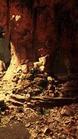 A mysterious and lush cave filled with an abundance of rocks and plants video